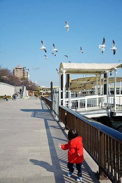 複製 -DSC_0208.JPG