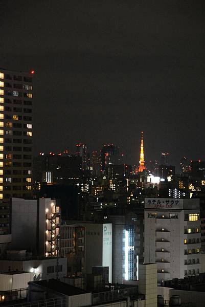 複製 -DSC_0062.JPG