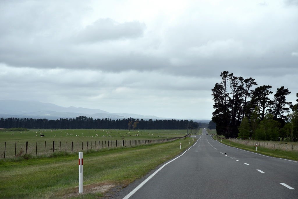 DSC_4410.JPG