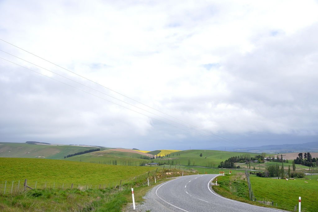 DSC_4465.JPG