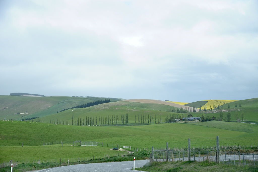 DSC_4474.JPG