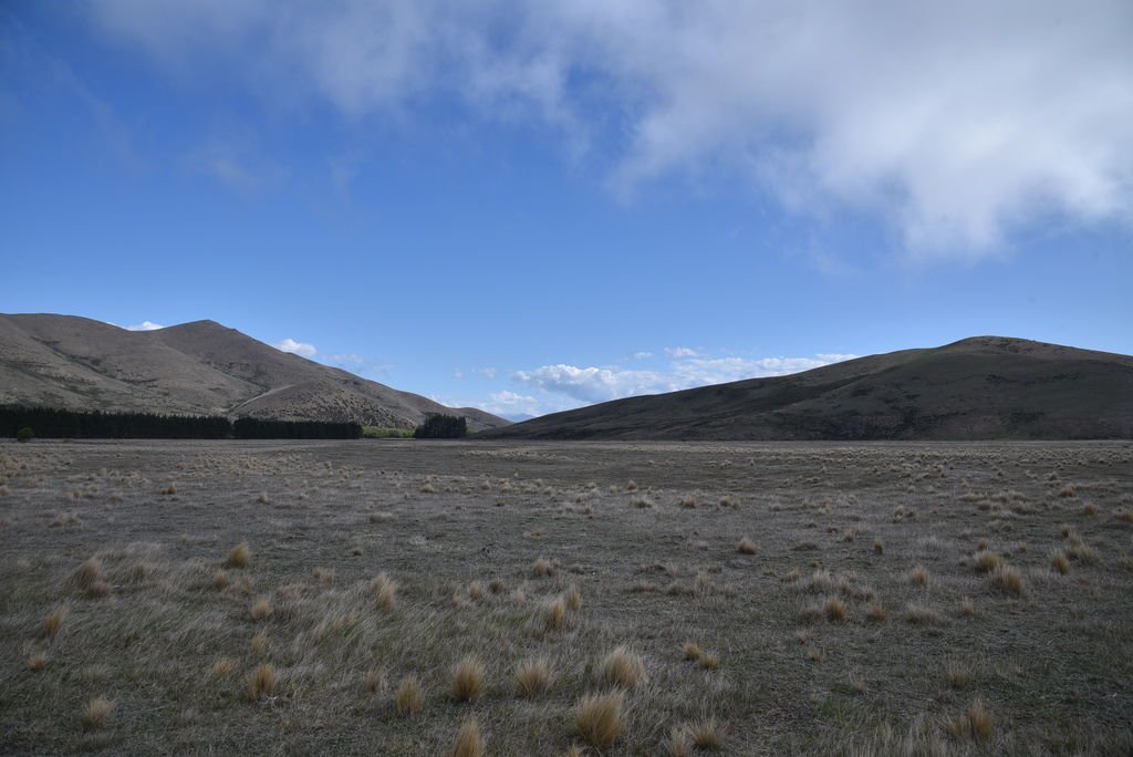 DSC_4485.JPG