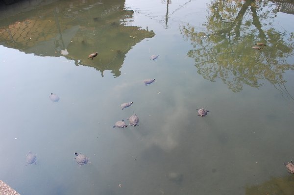 DSC_0357.JPG