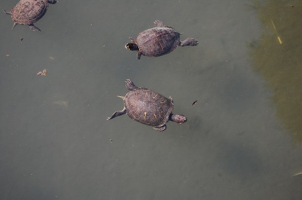 DSC_0360.JPG