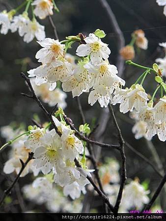 IMG_6656