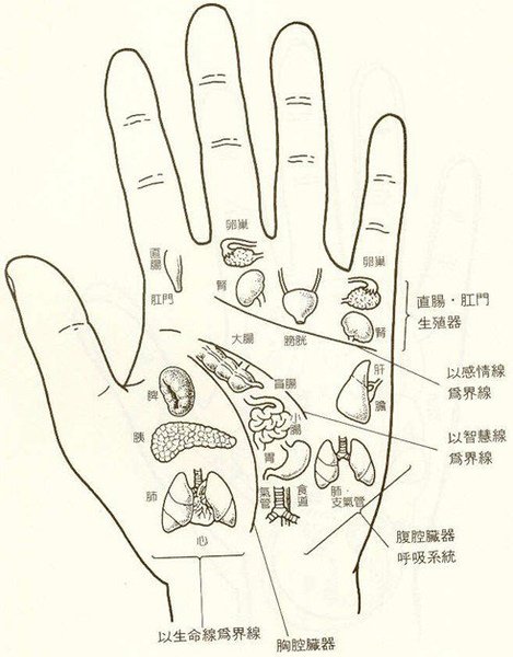 手-穴位圖
