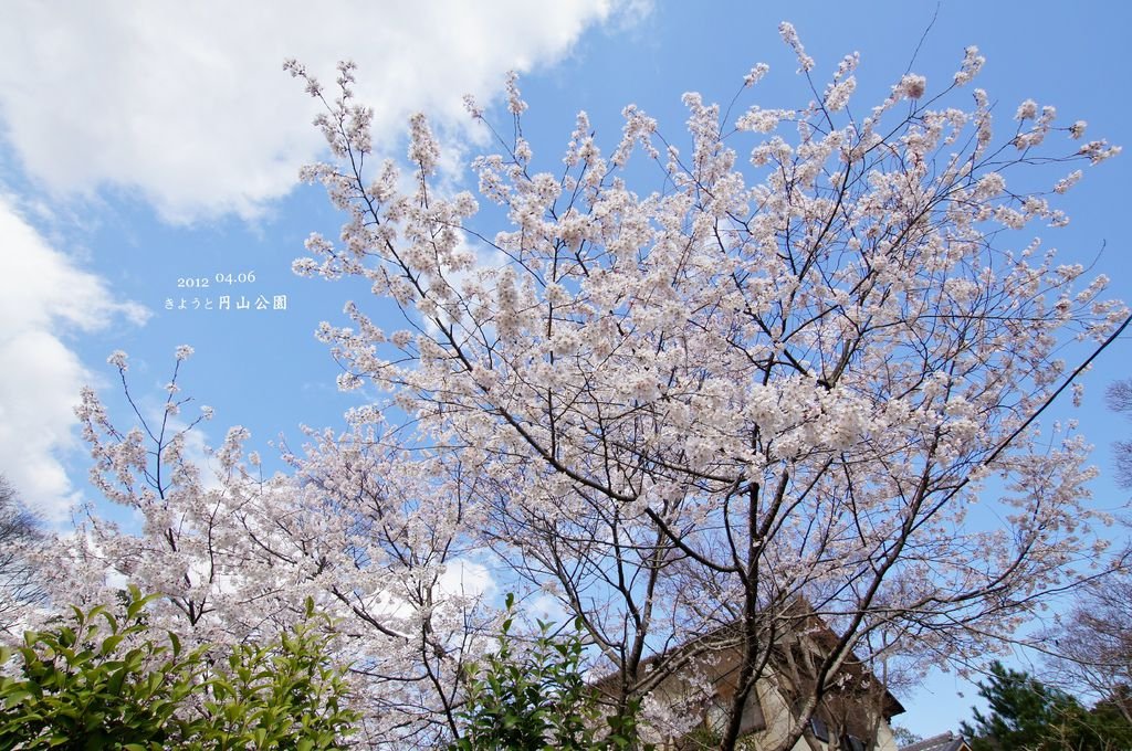 DSC06885