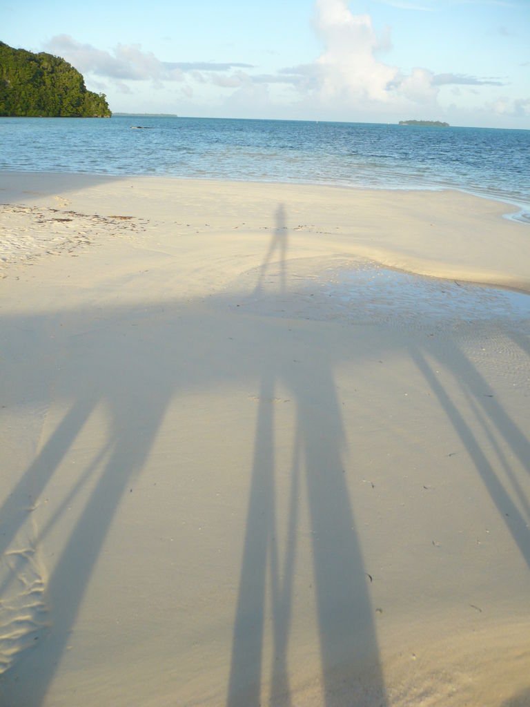 P1040355