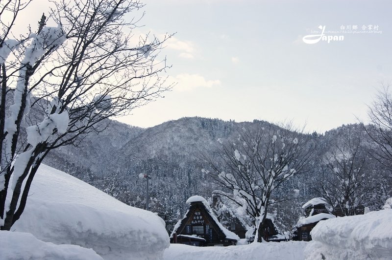 合掌村