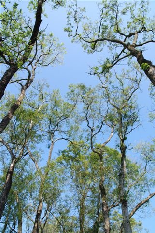 DSC_0197.JPG