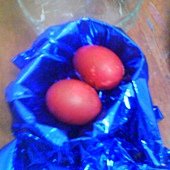 DSC01911.JPG