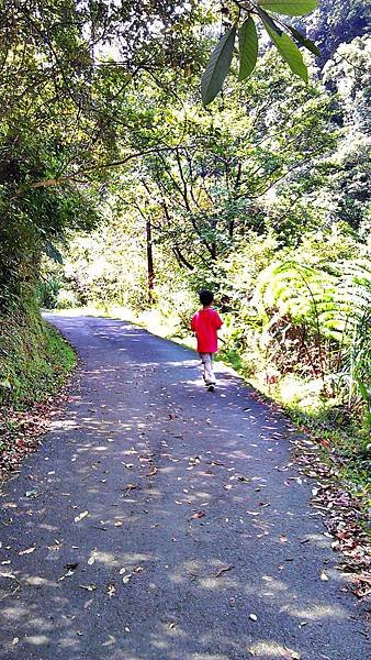 2012.10.10 草嶺古道_C360_2012-10-10-10-51-52