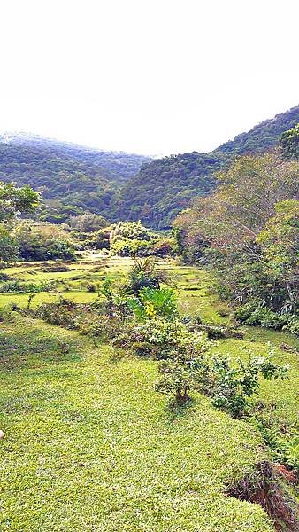 2012.10.10 草嶺古道_C360_2012-10-10-11-22-36