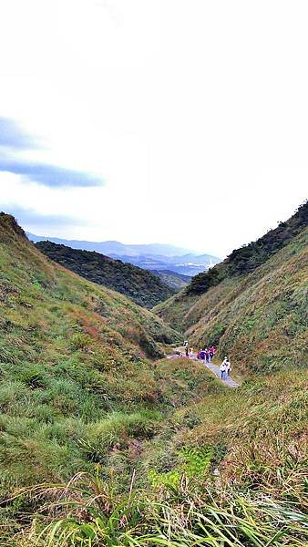 2012.10.10 草嶺古道_C360_2012-10-10-12-47-56