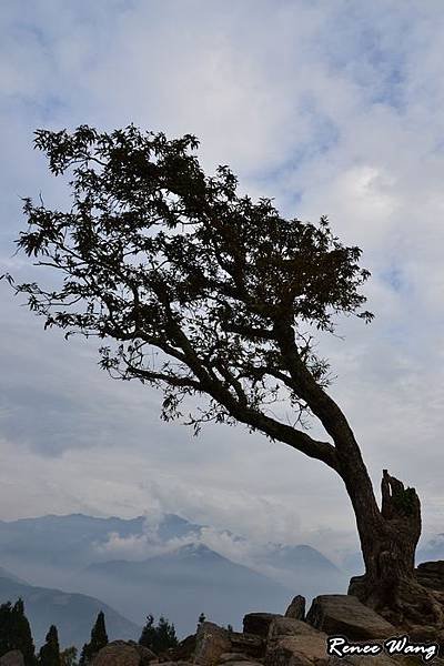 2012.10.27-28 家庭出遊-3青青草原_DSC_0143