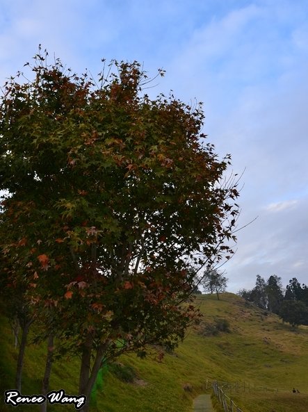 2012.10.27-28 家庭出遊-3青青草原_DSC_0239