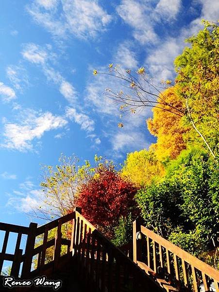 2012.10.27-28 家庭出遊-8嵐山小鎮_DSC_0358