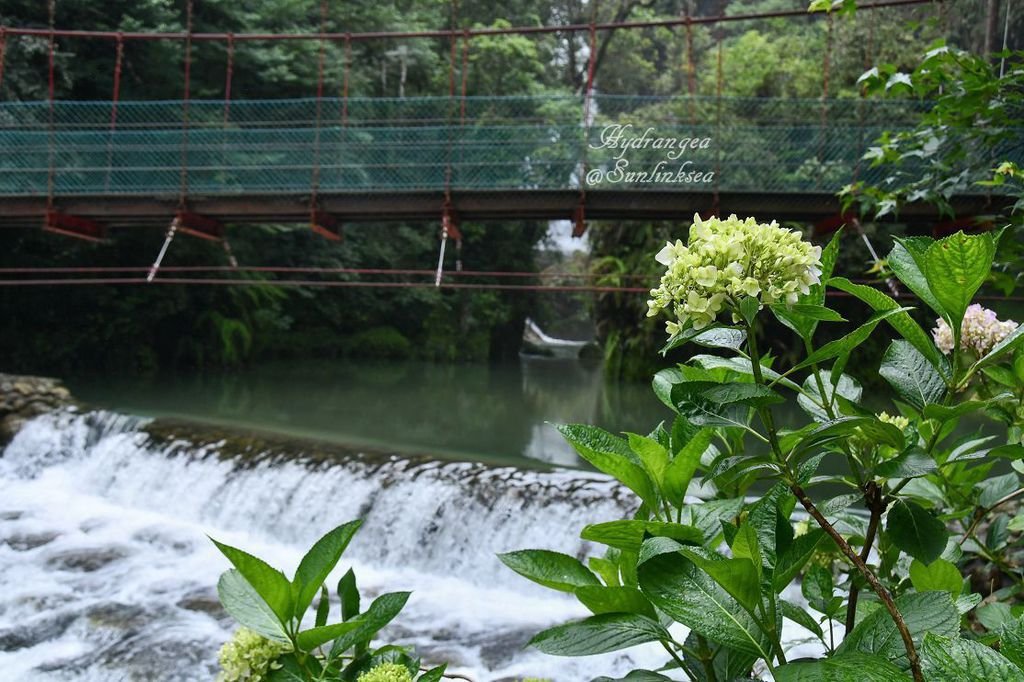 2019.05.18-19  家族旅行_杉林溪_DSC_9049-1_副本.jpg