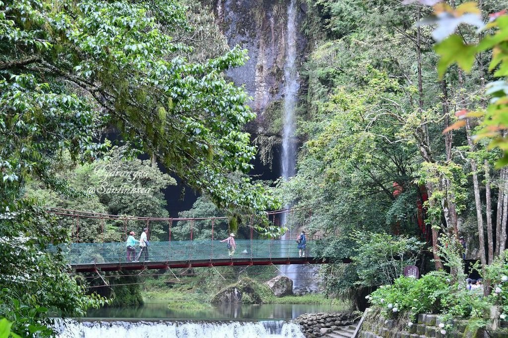 2019.05.18-19  家族旅行_杉林溪_DSC_9055-1_副本.jpg