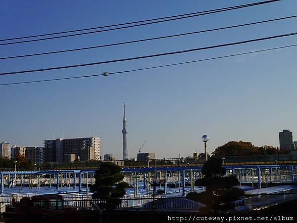 skyliner看天空樹