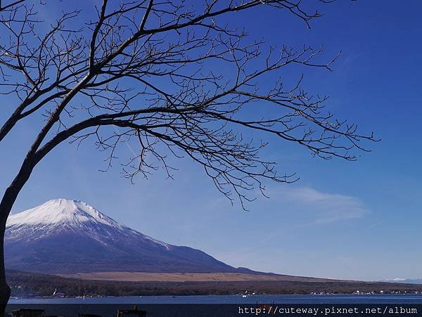 富士五湖 山中湖 南側