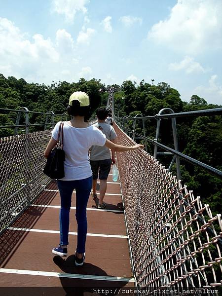 南投 天空 步道