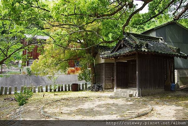 坂手港 美井戶神社