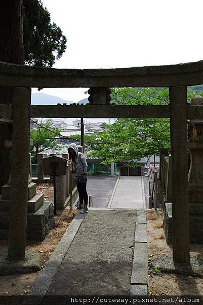 坂手港 美井戶神社