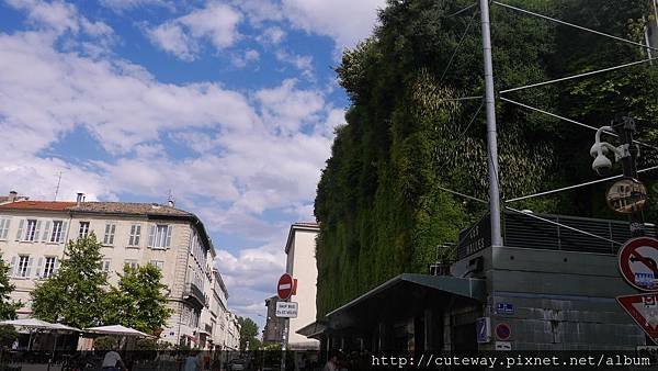 亞維儂傳統市場Marché les Halles