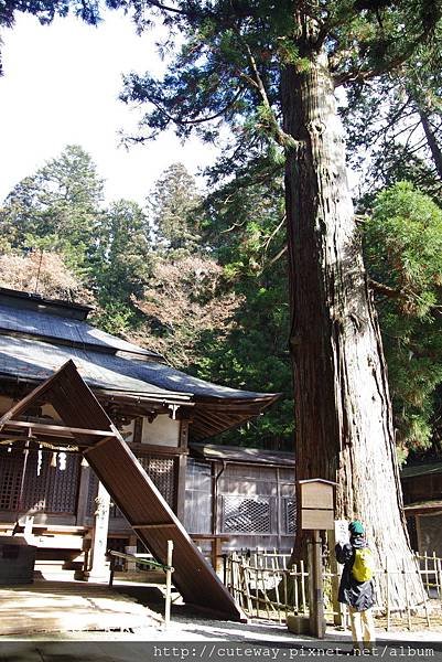 你的名字聖地巡禮-日枝神社