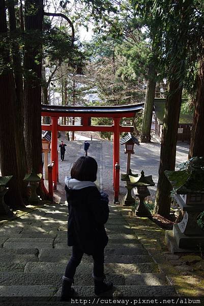 你的名字聖地巡禮-日枝神社