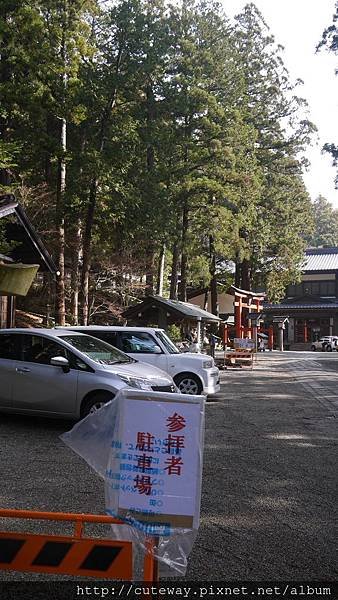 你的名字聖地巡禮-日枝神社