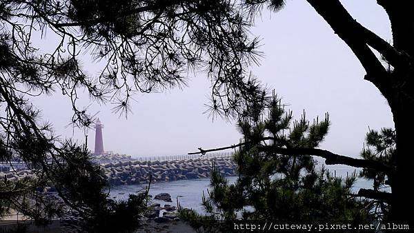 [海雲台]東海廢棄鐵道
