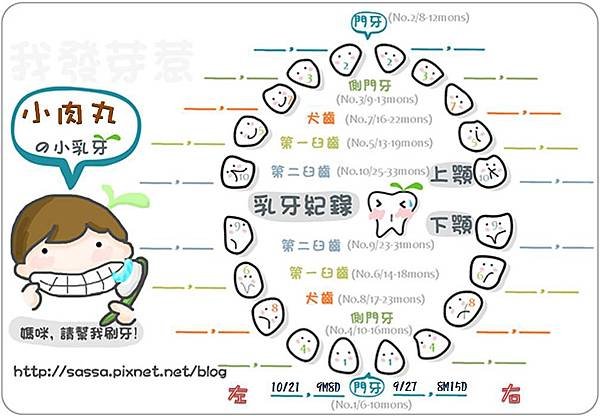 小肉丸乳牙記錄表.jpg