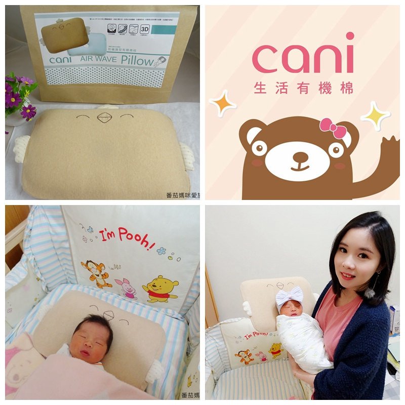 cani air wave 小雞枕 (20)