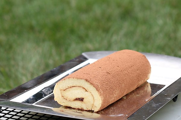 swissroll.JPG