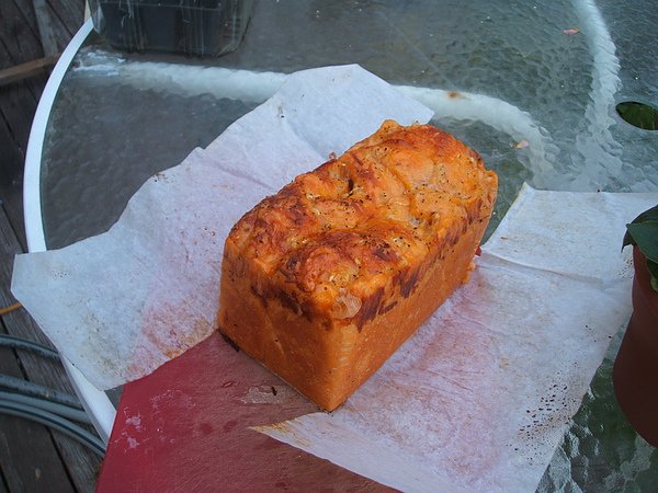 DSCF2793.JPG