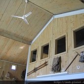 IMG_4163.JPG