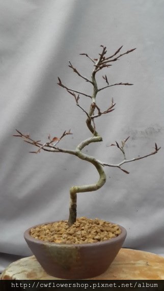 20140205_173308