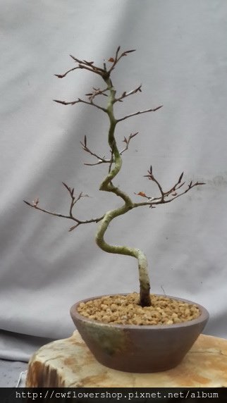 20140205_173319
