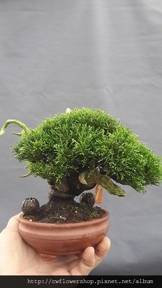 20140718_155955