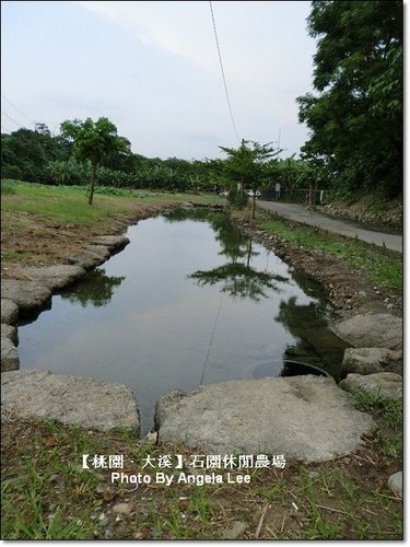 石園農場：【桃園．大溪】多元化的親子同樂天地《石園農場》戲水趣～