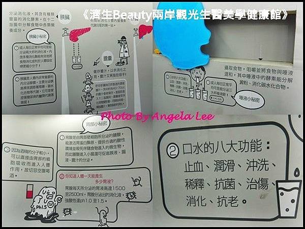 身體構造知識-1