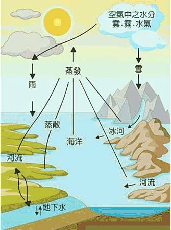 珍貴水資源：水與大自然、生活的好伙伴。.jpg