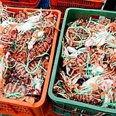 20140820 新北市石門--富基漁港( 捕蟹船卸魚獲 ) 148.JPG