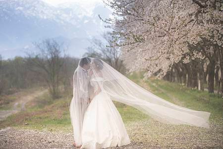 京都櫻花婚紗