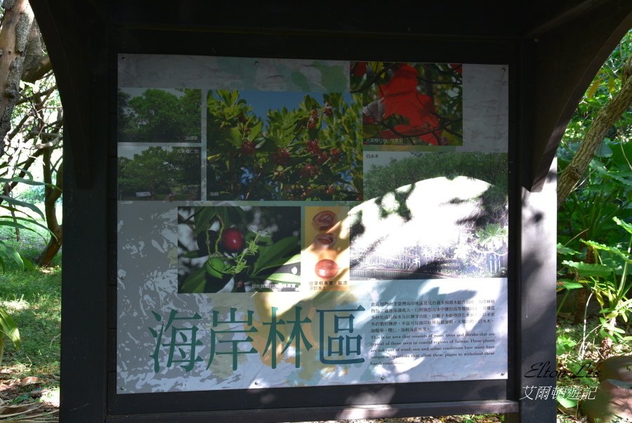 關渡自然公園110.JPG