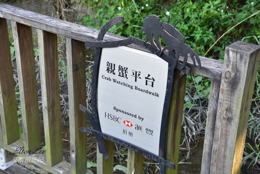 關渡自然公園125.JPG