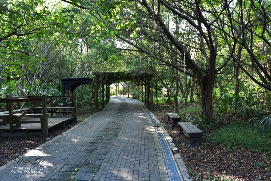 關渡自然公園159.JPG