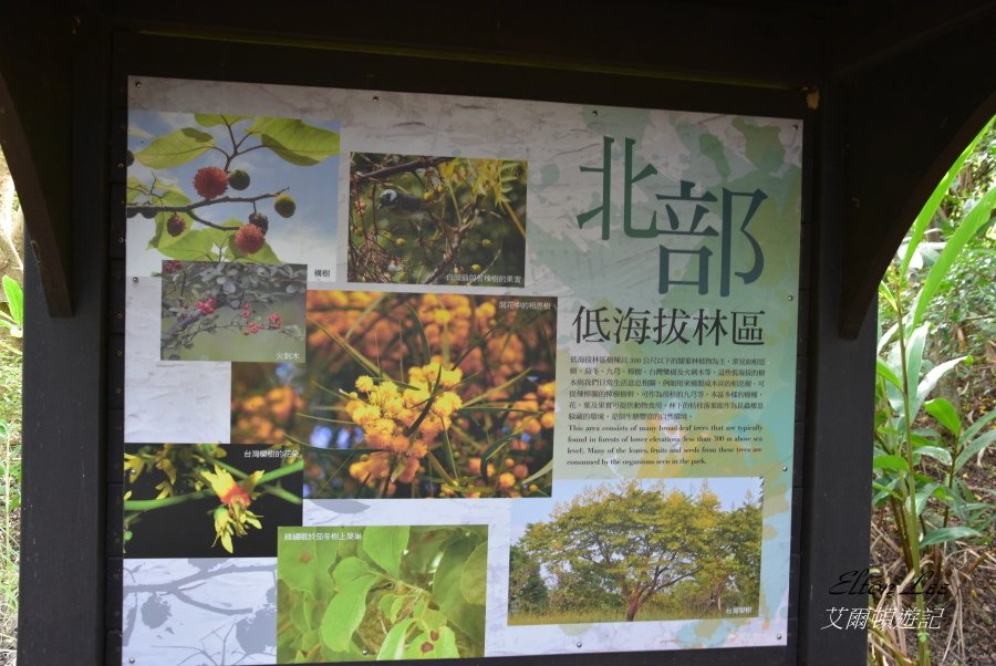 關渡自然公園160.JPG